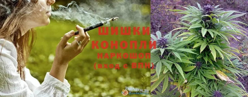 Конопля OG Kush  Шумерля 